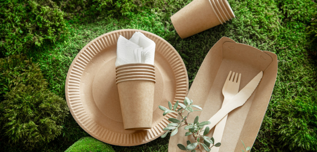 Disposable Tableware